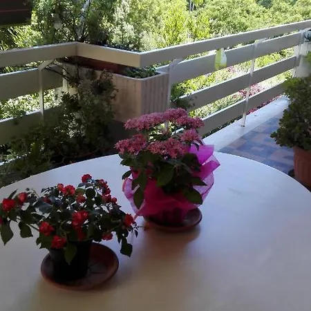 Appartement Rossana *